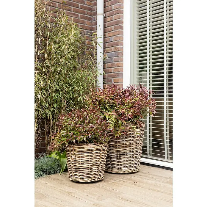 Van der Leeden Drypot Pflanzkorb - Ø x H: 42 x 44 cm, Rattan, Grau - Zwei Korbpflanzgefäße mit farbenfrohen Pflanzen, die eine warme und einladende Atmosphäre auf einer Holzterrasse schaffen.