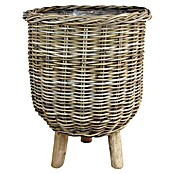 Van der Leeden Pflanzkorb (Ø x H: 41 x 54 cm, Rattan, Grau) | BAUHAUS