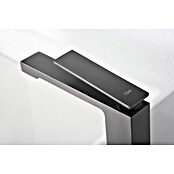 Imex Pisa Grifo de lavabo alto (Black gun) | BAUHAUS
