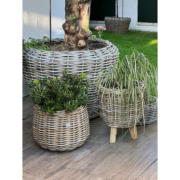 Van der Leeden Pflanzkorb (Ø x H: 41 x 54 cm, Rattan, Braun) | BAUHAUS