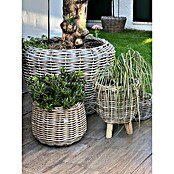 Van der Leeden Pflanzkorb (Ø x H: 41 x 54 cm, Rattan, Braun) | BAUHAUS
