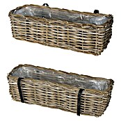 Van der Leeden Žardinjera za balkon  (Maks. vanjska dužina: 46 cm, Ratan) | BAUHAUS
