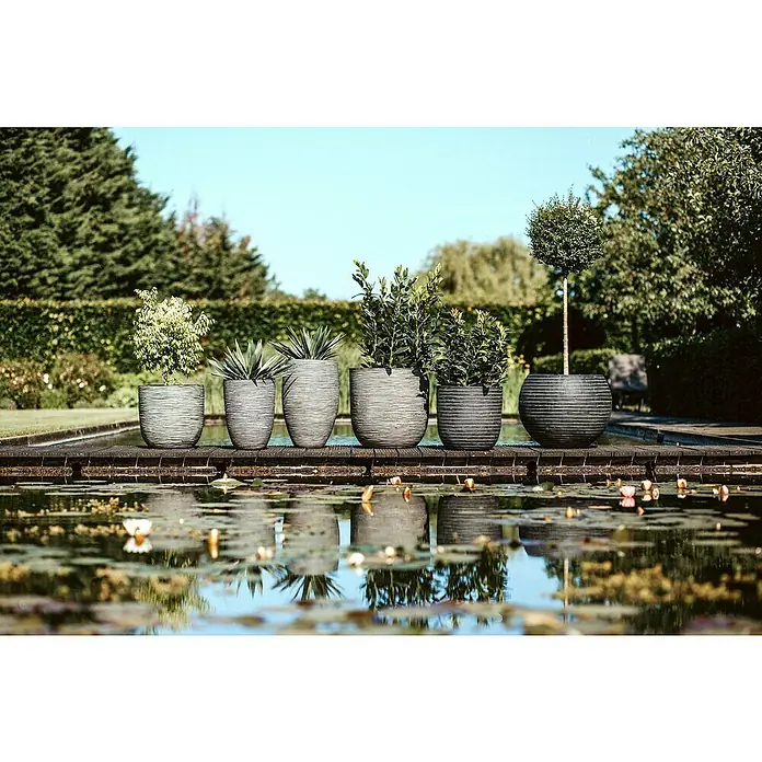 Capi Europe Nature Rib NL Pflanztopf Rib - Außenmaß (Ø x H): 35 x 34 cm, Kunststoff, Anthrazit - Reihe dekorativer Pflanzgefäße am Ufer eines ruhigen Gartenteichs, die das natürliche Ambiente mit stilvollem Design bereichern.