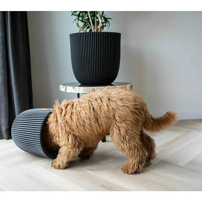 Capi Europe Nature Rib NL Pflanzgefäß GrooveAußenmaß (Ø x H): 43 x 43 cm, Schwarz, Kunststoff - Ein verspielter Goldendoodle steckt seinen Kopf in einen umgekippten, gerippten, grauen Pflanztopf, während ein weiterer Topf auf einem Tisch steht.