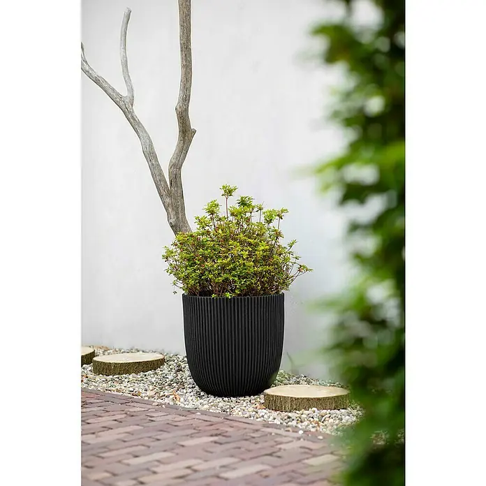 Capi Europe Nature Rib NL Pflanzgefäß GrooveAußenmaß (Ø x H): 35 x 35 cm, Schwarz, Kunststoff - Der gerippte, schwarze Pflanztopf mit Pflanze und dekorativem Ast verleiht dem Garten einen modernen Touch.