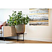 Capi Europe Nature Pflanztopf Groove (Außenmaß (Ø x H): 43 x 43 cm, Schwarz/Gold, Kunststoff) | BAUHAUS