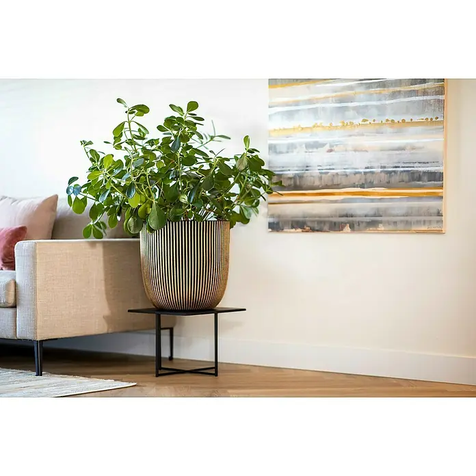 Capi Europe Nature Rib NL Pflanzgefäß GrooveAußenmaß (Ø x H): 43 x 43 cm, Schwarz/Gold, Kunststoff - Ein Zimmer mit einer Pflanze in einem dekorativen, gestreiften Topf auf einem kleinen Tisch neben einem beigen Sofa.