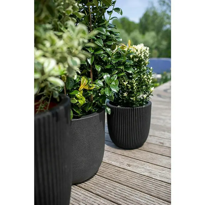Capi Europe Nature Rib NL Pflanzgefäß Groove - Außenmaß (Ø x H): 43 x 43 cm, Schwarz, Kunststoff - Eine Nahaufnahme von drei stilvollen, schwarzen Pflanzgefäßen mit üppigem Grün auf einer Holzterrasse.