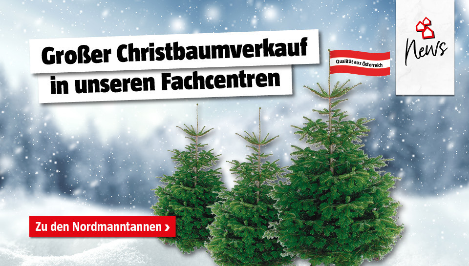 Stationärer Christbaumverkauf