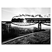 Cuadro Tren B&N (Tren B&N, An x Al: 80 x 60 cm, 1 pzs.) | BAUHAUS