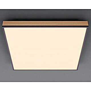 Globo Doro LED panel (24 W, 45 x 45 cm, Topla bijela)