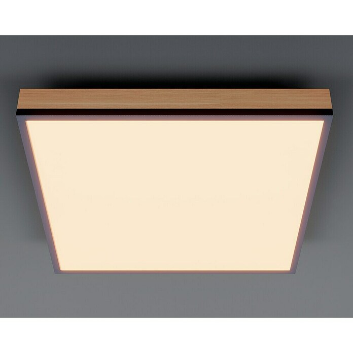 Globo Doro Panel LED (12 W, 30 x 30 cm, Marrón, Blanco cálido) | BAUHAUS