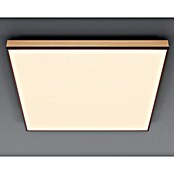 Globo Doro Panel LED (36 W, 59 x 59 cm, Marrón, Blanco cálido) | BAUHAUS
