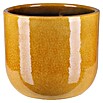 A.H.G. Übertopf rund Portland (Außenmaß (Ø x H): 25 x 22 cm, Honigfarben, Keramik, Glänzend) | BAUHAUS