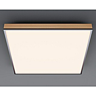 Globo Doro LED panel (24 W, 45 x 45 cm, Raznobojno)
