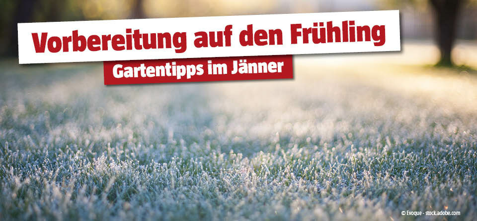 Gartentipps Jänner