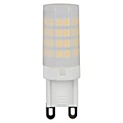 Voltolux Bombilla LED (2 uds., G9, 3,5 W, Color de luz: Blanco cálido, No regulable)