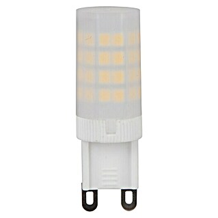 Garza Bombilla LED G9 (3,5 W, G9, Color de luz: Blanco frío, No regulable)