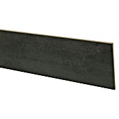 CanDo Stootbord (130 x 20 cm, 3 st., Donkergrijs) | BAUHAUS