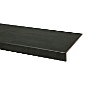 CanDo Traptrede (100 x 30 cm, Donkergrijs) | BAUHAUS