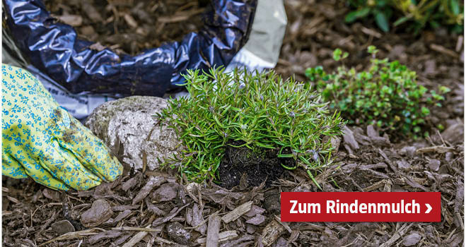 Rindenmulch