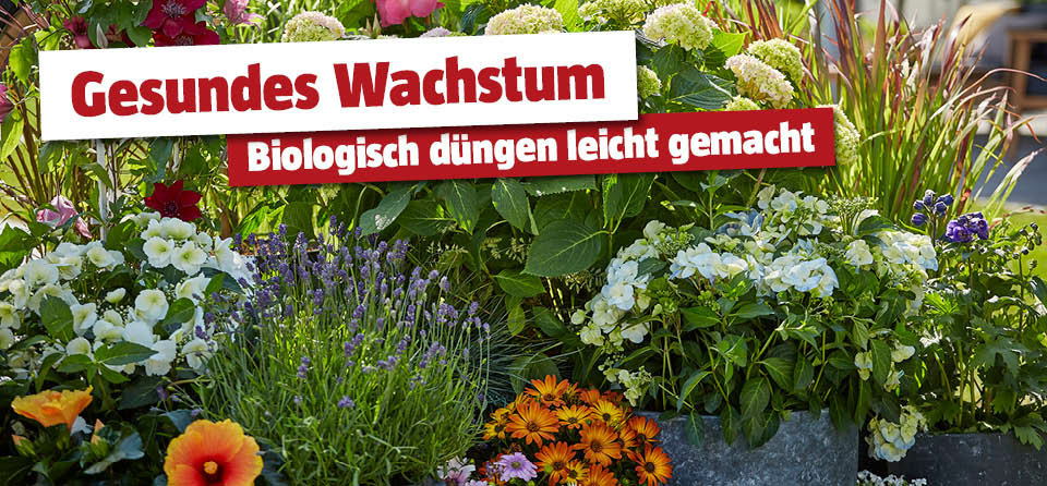 Biologisch Düngen