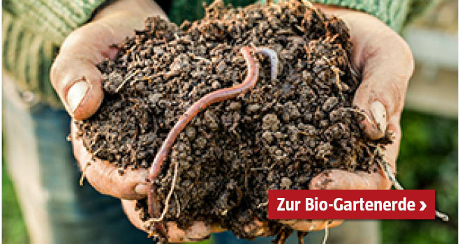 Bio-Gartenerde