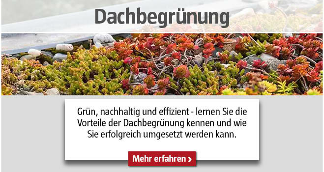 Dachbegrünung
