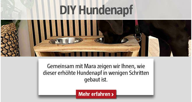 DIY Hundenapf
