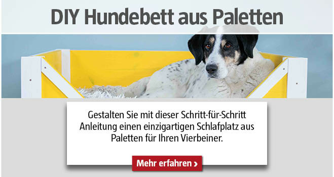 DIY Hundebett