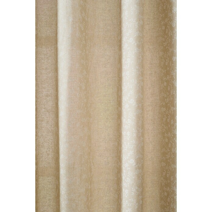 Cortina con ollaos Afrodita (140 x 260 cm, 75% algodón y 25% poliéster, Marrón / Blanco)