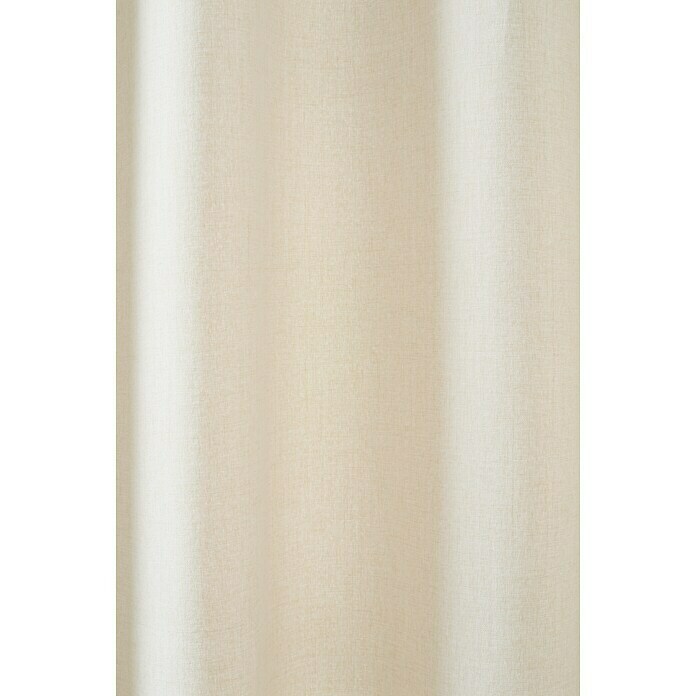 Cortina con ollaos Annie (An x Al: 140 x 260 cm, 100% poliéster, Beige) | BAUHAUS