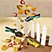 Wolfcraft Hobby-Ratschenzwinge FZR 30 (Spannweite: 30 mm, Material Zwinge: Kunststoff)