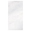 Feinsteinzeugfliese Hydra Weiß (59,8 x 119,8 cm, Weiß, Glänzend) | BAUHAUS