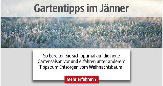 Gartentipps im Jänner