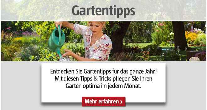 Gartentipps