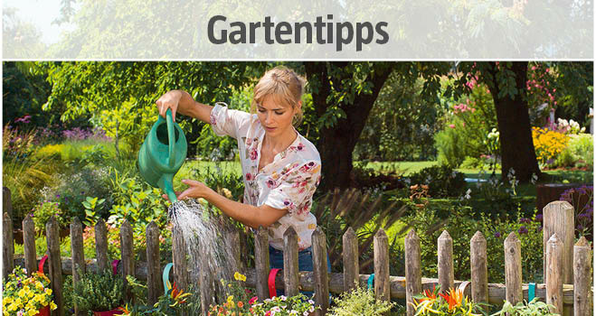 Gartentipps