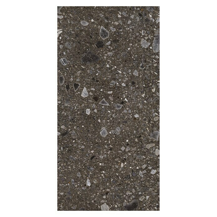 Feinsteinzeugfliese Terrazzo Ceppo (59,7 x 119,7 cm, Schwarz, Glänzend) | BAUHAUS