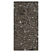 Feinsteinzeugfliese Terrazzo Ceppo (59,7 x 119,7 cm, Schwarz, Glänzend) | BAUHAUS