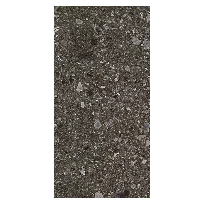 Feinsteinzeugfliese Terrazzo Ceppo - 59,7 x 119,7 cm, Schwarz, Glänzend - Dunkelgrauer Terrazzo mit hellen und dunklen Gesteinsfragmenten.