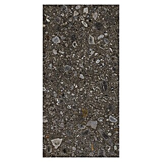 Feinsteinzeugfliese Terrazzo Ceppo (59,7 x 119,7 cm, Schwarz, Matt)