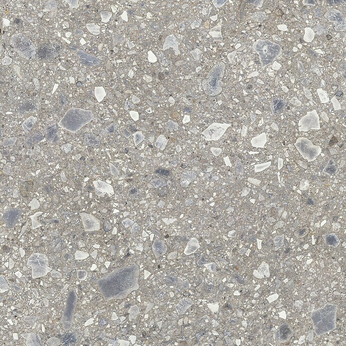 Feinsteinzeugfliese Terrazzo Ceppo (119,7 x 119,7 cm, Silber, Glänzend) | BAUHAUS