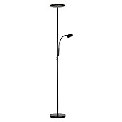 Paul Neuhaus LED-Stehleuchte Hans (31,5 W, Höhe: 193 cm, Schwarz, Warmweiß) | BAUHAUS