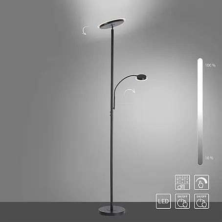 Paul Neuhaus  LED-Stehleuchte Hans