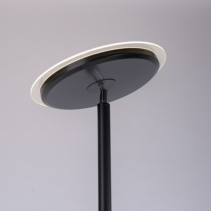 Paul Neuhaus LED-Stehleuchte Hans (31,5 W, Höhe: 193 cm, Schwarz, Warmweiß) | BAUHAUS