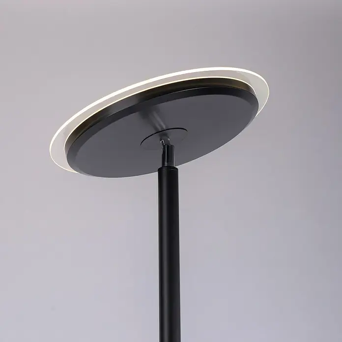 Paul Neuhaus LED-Stehleuchte Hans - 31,5 W, Höhe: 193 cm, Schwarz, Warmweiß - Moderne Stehleuchte mit rundem, schwarzem Lampenschirm und LED-Licht, die eine elegante und stilvolle Beleuchtungslösung bietet.