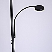 Paul Neuhaus LED-Stehleuchte Hans (31,5 W, Höhe: 193 cm, Schwarz, Warmweiß) | BAUHAUS