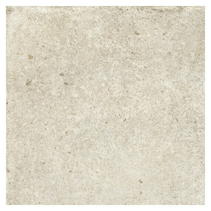 Feinsteinzeugfliese Ikon (60 x 60 cm, Beige, Matt) | BAUHAUS