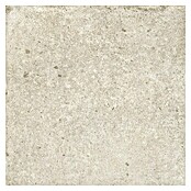 Feinsteinzeugfliese Ikon (60 x 60 cm, Beige, Matt) | BAUHAUS