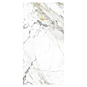 Granitogresne ploščice Marble Visage  (60 x 120 cm, Bela/Siva, Sijaj) | 4240 - Natursteinoptik | EAFA - Bodenfliesen | EAF - Fliesen | EA - Fliesen | E - Fliesen | BAUHAUS